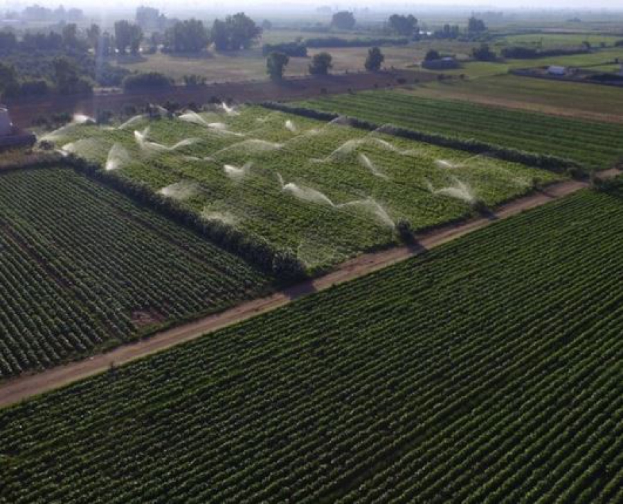 Greenpeace σε Βορίδη: Πράσινα κριτήρια στα μέτρα στήριξης της γεωργίας