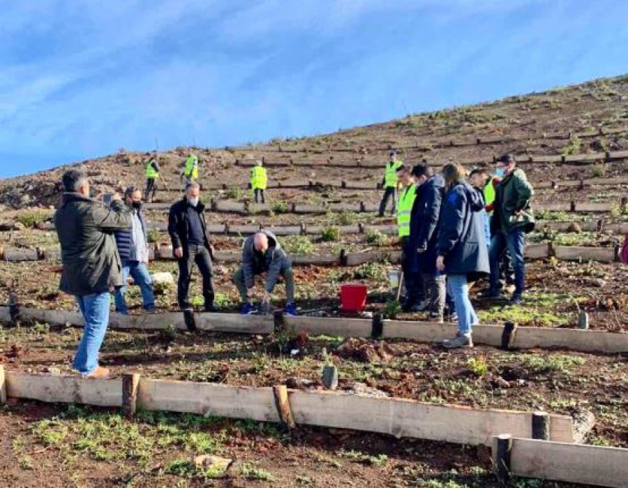 ΥΠΕΝ: 4.000 δέντρα φυτεύτηκαν στην πυρόπληκτη περιοχή της Λίμνης Ευβοίας