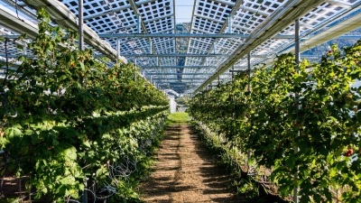 Αποδόσεις και κόστος για τα αγροβολταϊκά : Η τελευταία παγκόσμια μελέτη για τις προκλήσεις με 4 οπτικές (pv magazine)