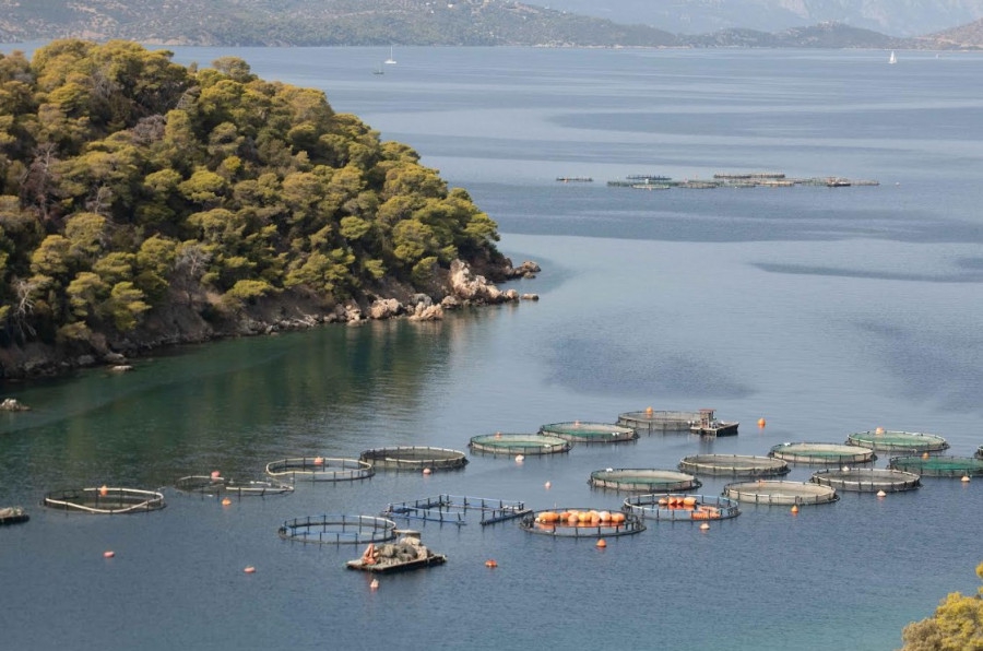 Η ΑΚΤΑΙΑ κρούει τον κώδωνα του κινδύνου για την αύξηση των υδατοκαλλιεργειών