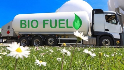 Βιοκαύσιμα: Ελπίδα ή καταστροφή;