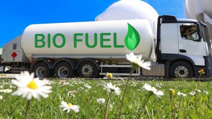 Βιοκαύσιμα: Ελπίδα ή καταστροφή;