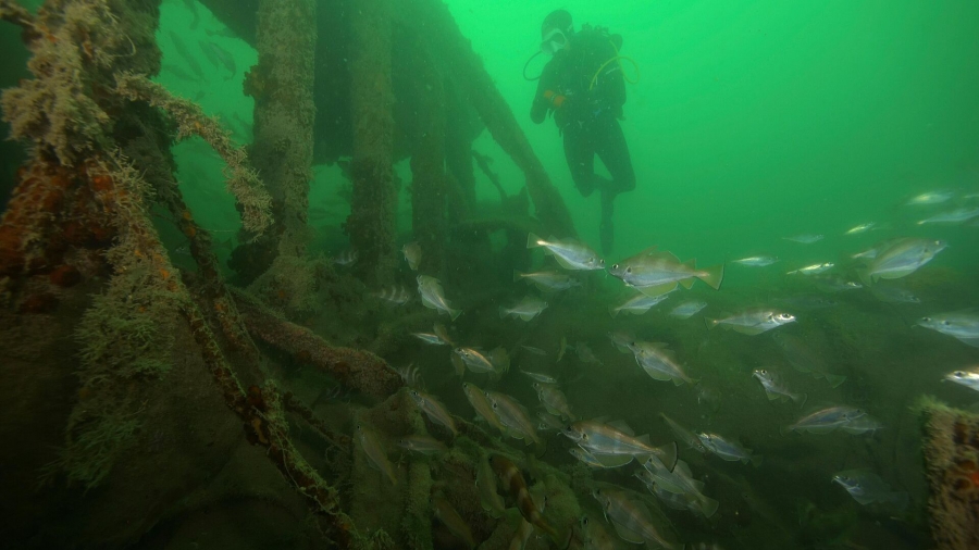 Ναυάγια βρέθηκαν σε βάθος 100 μέτρων στον πυθμένα κοντά σε αρχαία ελληνική πόλη 2.300 ετών (interesting Engineering)