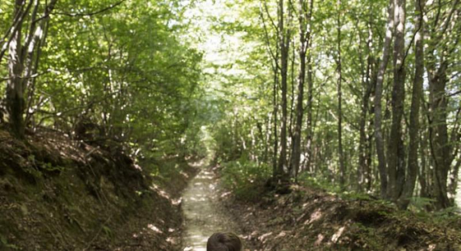 Συνεχίζονται οι συζητήσεις για την συγκρότηση και ενίσχυση του Cali Fund για την διάσωση της βιοποικιλότητας (Reuters)