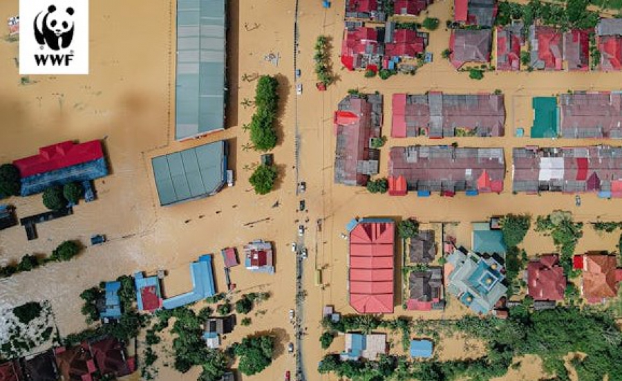 WWF Ελλάς: Γιατί πλημμυρίσαμε;
