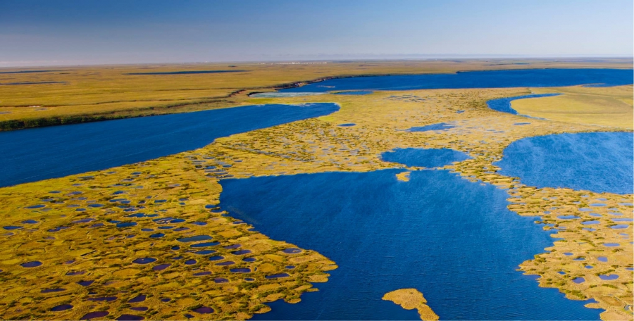 Εγκρίθηκε από την κυβέρνηση Biden η τεράστια εξόρυξη πετρελαίου στην Αλάσκα