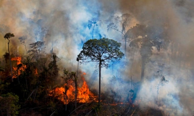 Οι ιστορικές πυρκαγιές του Αμαζονίου απειλούν τις κλιματικές αλλαγές