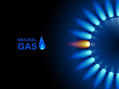 Γαλλική Βουλή: Ζητά αποσύνδεση της τιμής του φυσικού αερίου από τις τιμές του ηλεκτρισμού