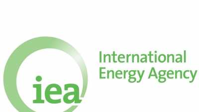 Bloomberg: Επικρίσεις στον ΙΕΑ για τις θέσεις του στην πράσινη ενέργεια