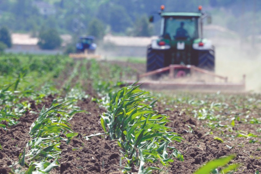 Σφοδρές αντιδράσεις των ΜΚΟ κατά της ανατροπής των πράσινων πολιτικών της ΕΕ (Euractiv)