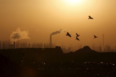 Οι παγκόσμιες εκπομπές διοξειδίου του άνθρακα μειώθηκαν κατά 8,8%