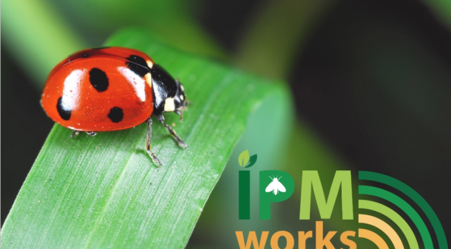 Δίκτυο Γεωργών, ΕΕ: Προκλήσεις και δυνατότητες στη μείωση φυτοφαρμάκων χωρίς μείωση κερδών