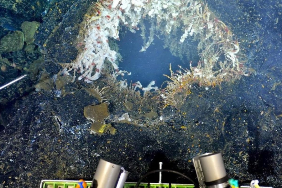 Μυστηριώδεις δομές κάτω από τον Ειρηνικό εκπέμπουν φυσικό υδρογόνο (evidencenetwork.ca)