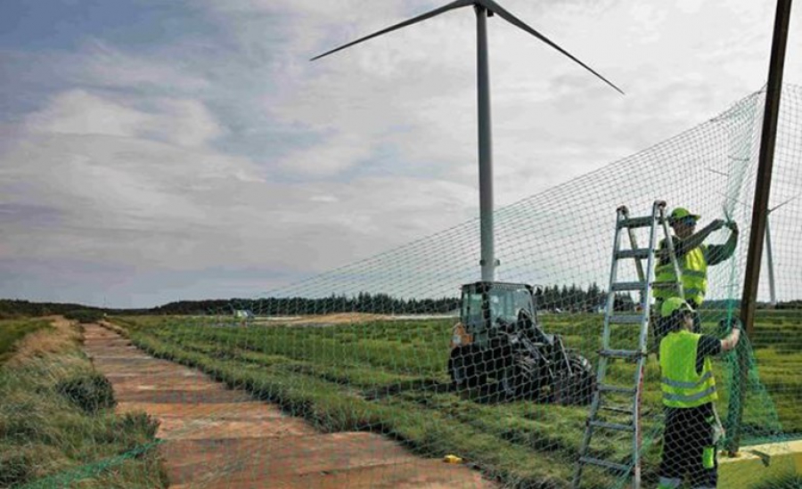 Συνεχής εξέλιξη και πρόοδος για Δανία και ανεμογεννήτριες - Η νέα πρωτοβουλία της χώρας