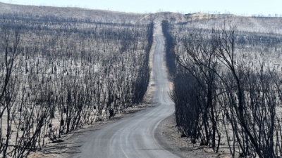Αυστραλία: Ισχυρές βροχοπτώσεις σβήνουν τις καταστροφικές πυρκαγιές