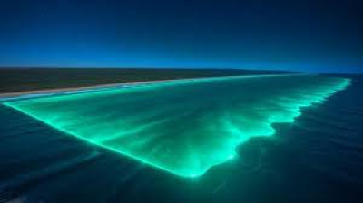 Οι επιστήμονες προειδοποιούν και σοκάρονται από νέα θαλάσσια είδη ορατά και από το διάστημα (energy-reporters.com)