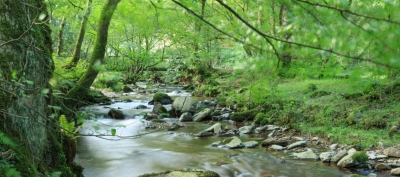 Ένα αρχαίο τροπικό δάσος ανακαλύπτεται στα Φώκλαντ - Ένα μυστήριο για το κλίμα (indiandefencereview.com)
