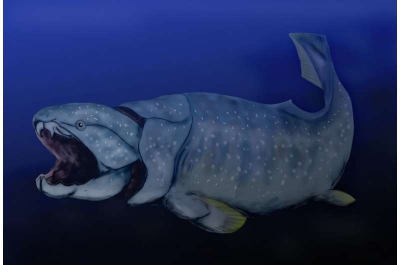 Η προϊστορία των ωκεανών ορόσημο για το μέλλον (phys.org)