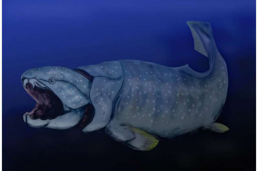 Η προϊστορία των ωκεανών ορόσημο για το μέλλον (phys.org)