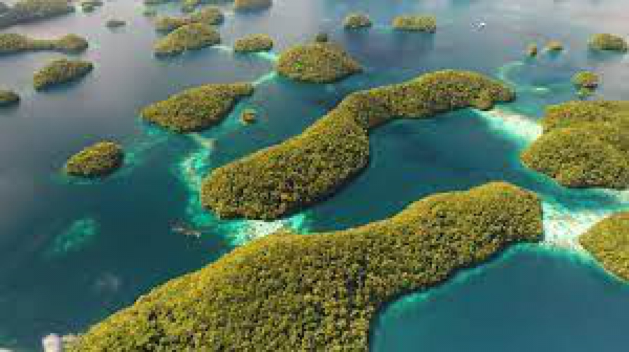 Η πρωτοβουλία 