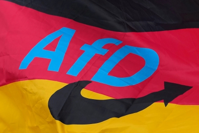 Μοntel: Η AfD αναζητά εταίρο για ανατροπή της «τρελής ενεργειακής πολιτικής»