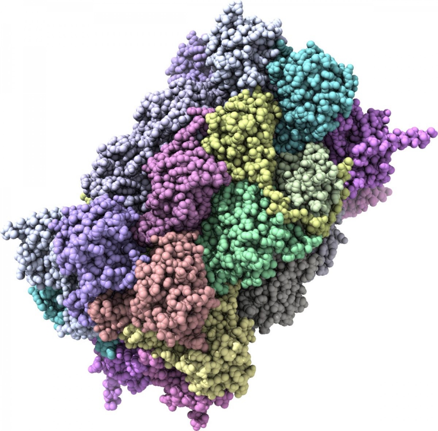 Αλτσχάιμερ: 200+ Κρυμμένες Πρωτεΐνες που Μπορεί να Καταστρέφουν Σιωπηλά τη Μνήμη (scitechdaily.com)