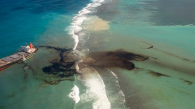 Μαυρίκιος: 38 δελφίνια έχουν ξεβραστεί νεκρά στις ακτές του νησιού μετά την πετρελαιοκηλίδα