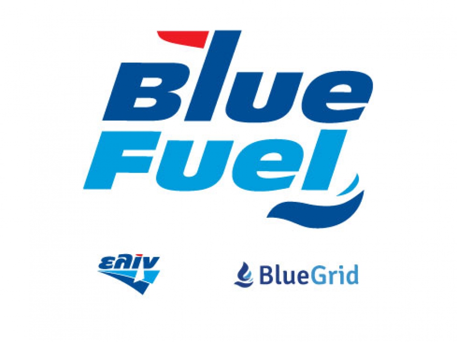   Blue Grid   BlueFuel -      LNG