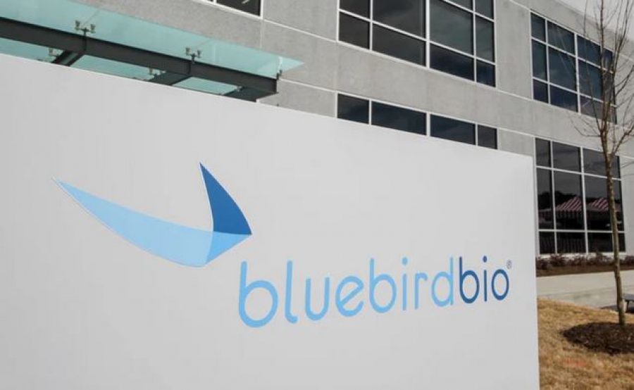 Πρωτοβουλία ευαισθητοποίησης για τη θαλασσαιμία από τη bluebird bio σε συνεργασία με ενώσεις ασθενών