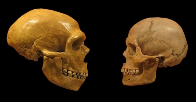 Νεάντερταλ vs Homo sapiens: Τι χώριζε τους σύγχρονους ανθρώπους από τα αρχαία ξαδέρφια τους (The Times of India)