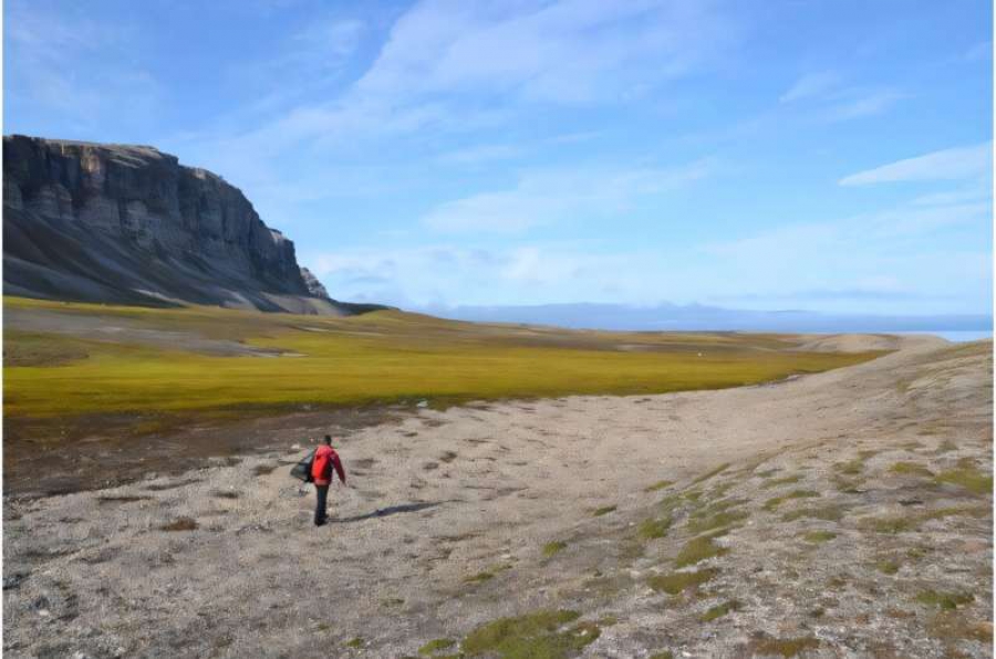 Οι τυρφώνες της Αρκτικής επεκτείνονται καθώς οι θερμοκρασίες συνεχίζουν να αυξάνονται (phys.org)
