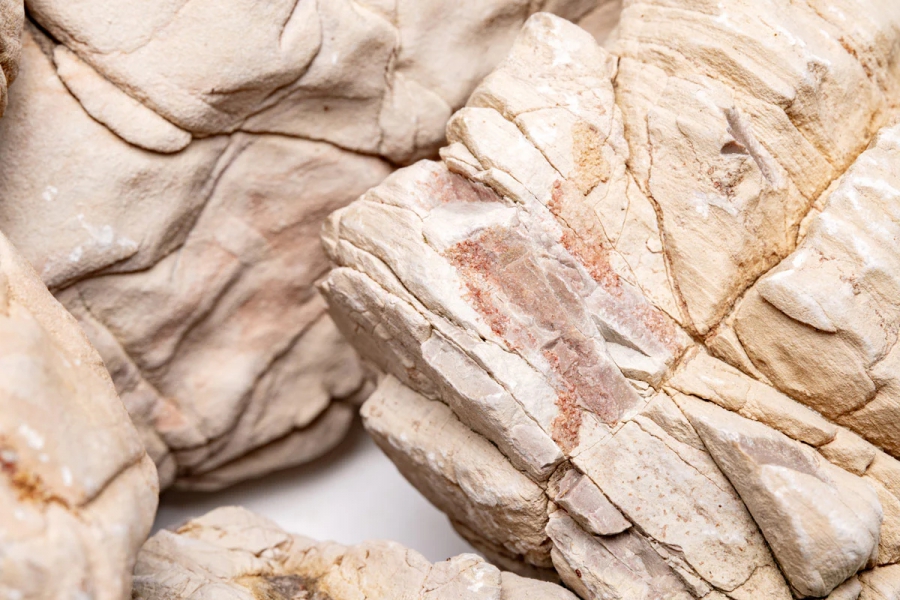 Παράξενα πετρώματα από «δέρμα ελέφαντα» αποκαλύπτουν αρχαία ζωή στον σκοτεινό ωκεανό (sciencedaily.com)