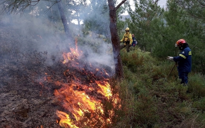 Χίος: Πείραμα ελεγχόμενης καύσης από το WWF για την πρόληψη των πυρκαγιών