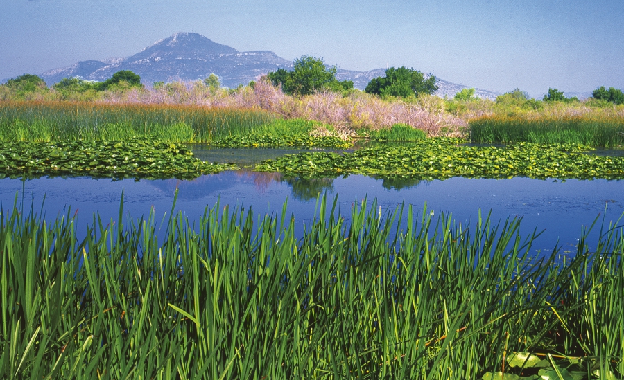 Ευρωπαϊκή Ημέρα Natura 2000: Μια γιορτή για την προστασία της φύσης