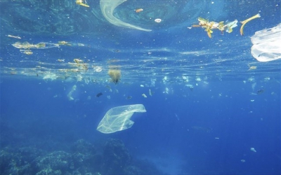 Νέα μελέτη: Στις θάλασσες σχεδόν 26.000 τόνοι έξτρα πλαστικών αποβλήτων - Τρομάζουν τα νέα στοιχεία
