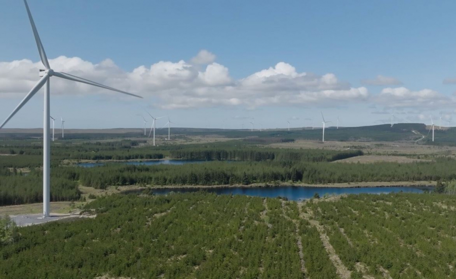 Η Amazon δημιουργεί το πρώτο της ηλιακό πάρκο στην Ελλάδα