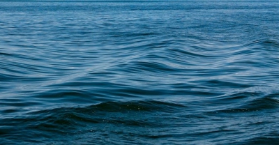 Κηρύχτηκε προστατευόμενο το 30% της ανοιχτής θάλασσας έως το 2030