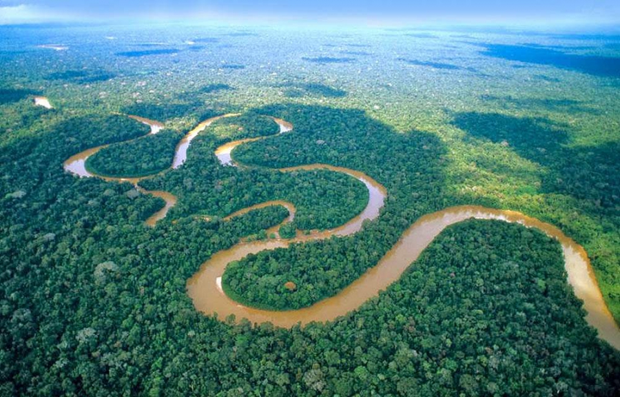 Αμαζόνιος: Το ένα τρίτο των δασών έχει καταστραφεί από ανθρώπινη δραστηριότητα και ξηρασία