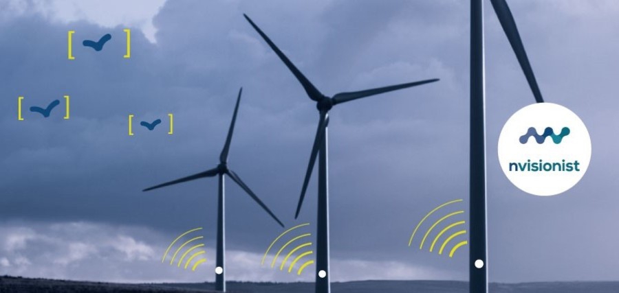 nvbird: Η «ασπίδα» των σπάνιων πτηνών από τις ανεμογεννήτριες