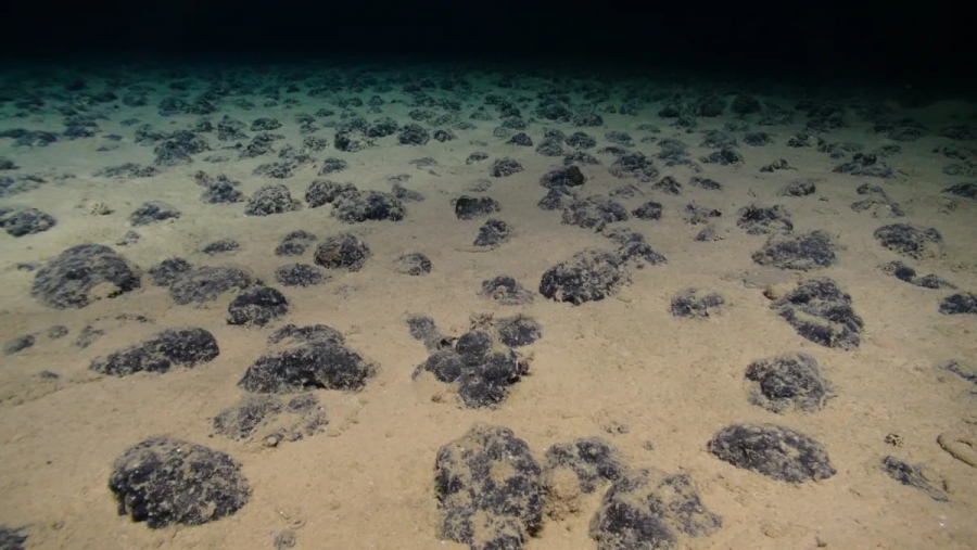 Ποιες οι επιπτώσεις από τις εξορύξεις στα βαθιά ύδατα - Το παράδειγμα του Clarion-Clipperton (Daily Galaxy)