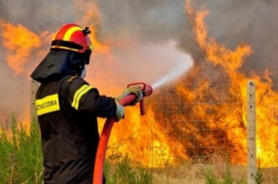 METEO: Οι δασικές πυρκαγιές του Ιουλίου έκαψαν πάνω από 132.000 στρέμματα