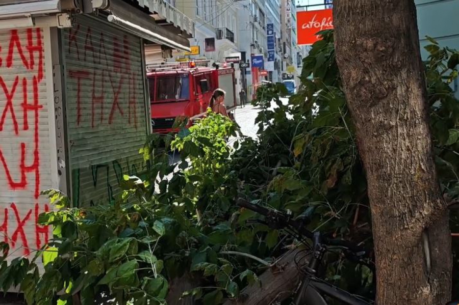 Δέντρα πέφτουν στην Ερμού- Κλειστός ο Εθνικός Κήπος