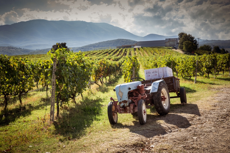 Ετοιμάζεται νέο πρόγραμμα υπολογισμού της μείωσης αποτυπώματος άνθρακα