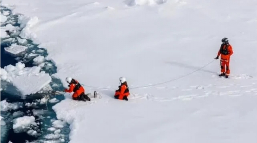 Σε βάθος μόλυνση: Μικροπλαστικά εμφανίζονται στα φύκια κάτω από τους πάγους της Αρκτικής