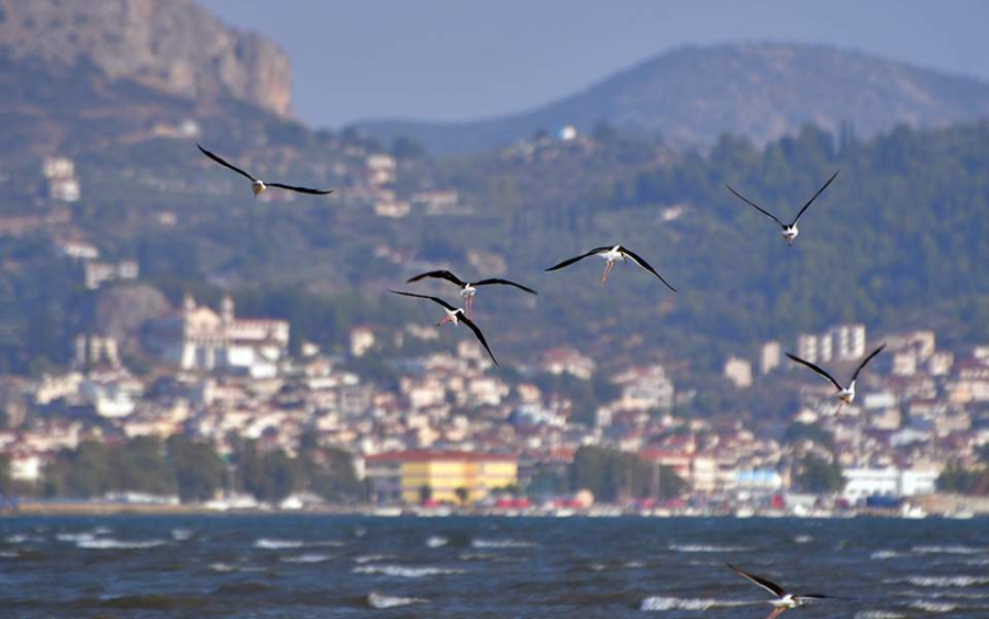 Θεοφάνια με ανοιξιάτικες θερμοκρασίες – Πότε έρχονται βροχές