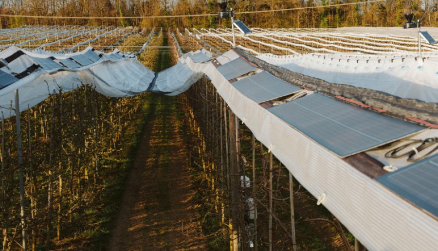 Τρόποι προστασίας των ζώων από κεραυνούς σε αγροβολταϊκά