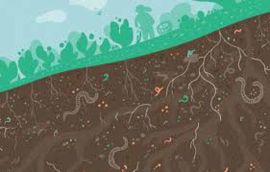 Βλέποντας τον κρυμμένο μικροβιακό κόσμο κάτω από τα πόδια μας—από τον ουρανό (phys.org)