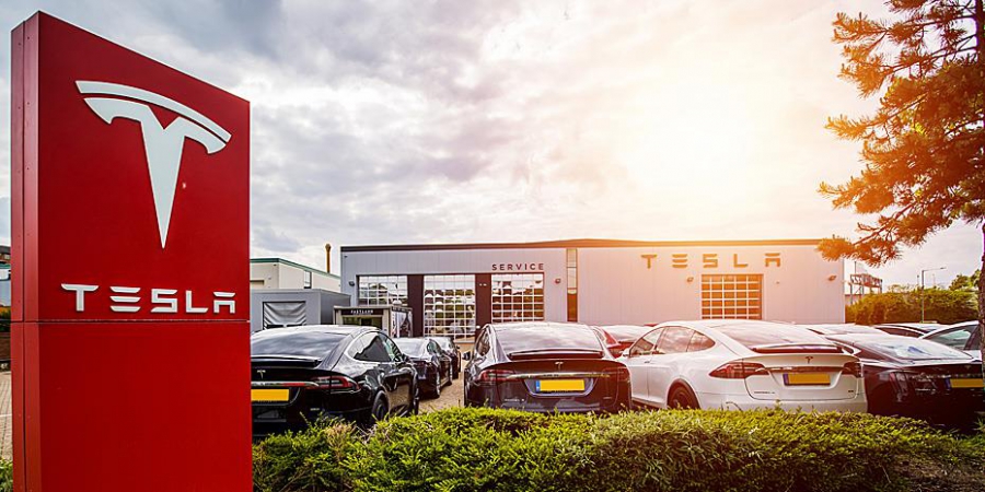 «Πράσινο» φως από γερμανικό δικαστήριο για το εργοστάσιο της Tesla - Κανονικά η αποψίλωση του δάσους