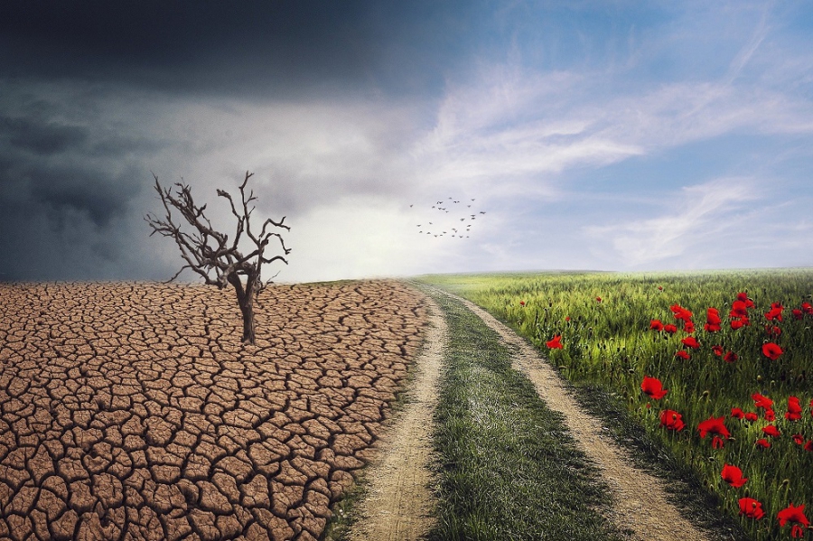 Κλιματική αλλαγή και Έλληνες: «Σοβαρός ο κίνδυνος για τη Γη, όχι για τη γειτονιά μου»