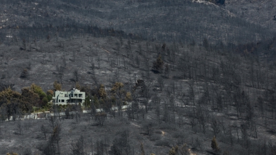 ΕΑΑ: 650.000 στρέμματα κάηκαν σε Εύβοια, Αττική, Λακωνία
